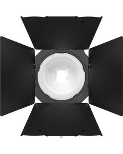 Aputure CF12 Barn doors